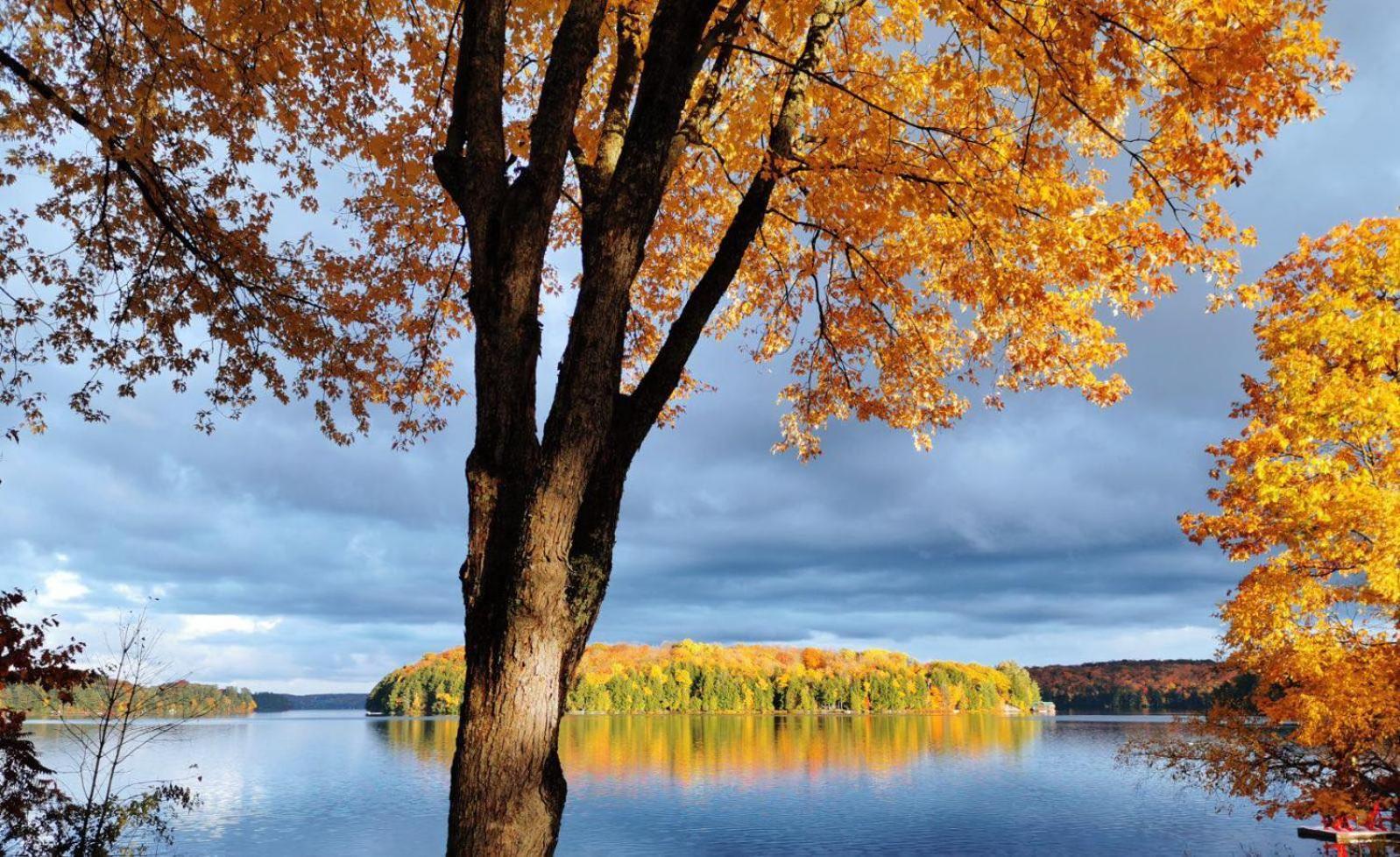Muskoka Escape Hotel พอร์ตคาร์ลิง ภายนอก รูปภาพ
